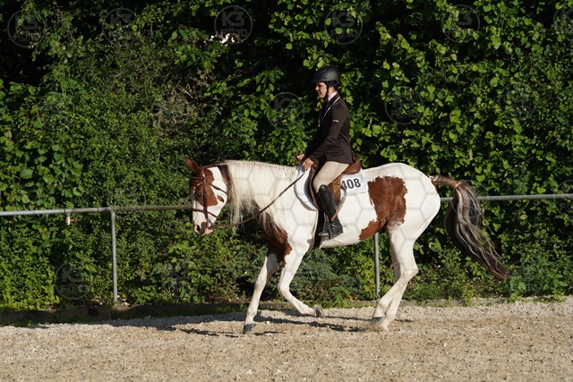 sA9K06071.JPG